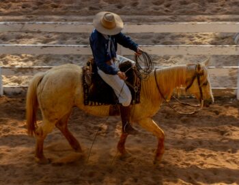 free-photo-of-brazilian-cowboy-riding-horse-in-arena