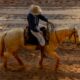 free-photo-of-brazilian-cowboy-riding-horse-in-arena
